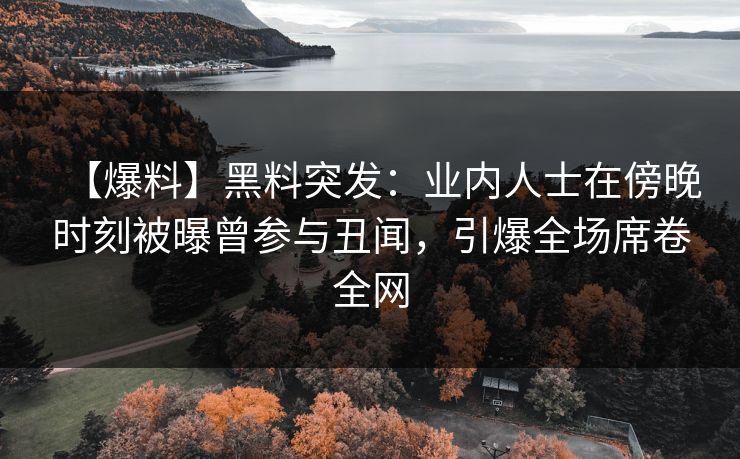 【爆料】黑料突发：业内人士在傍晚时刻被曝曾参与丑闻，引爆全场席卷全网