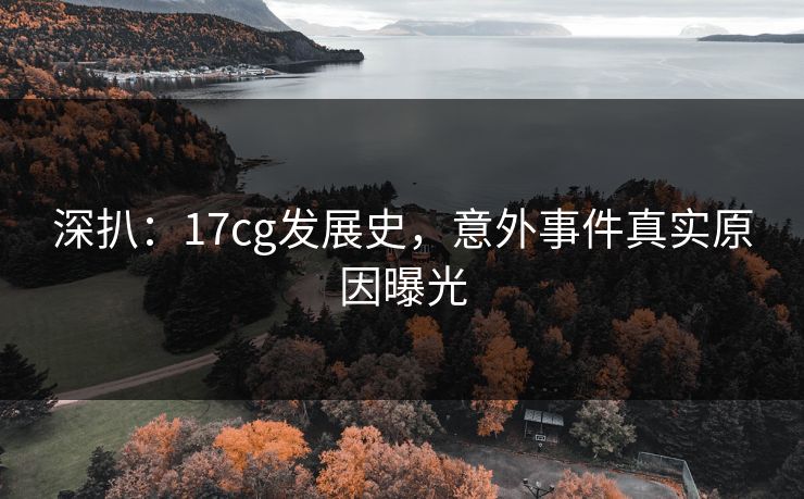 深扒：17cg发展史，意外事件真实原因曝光