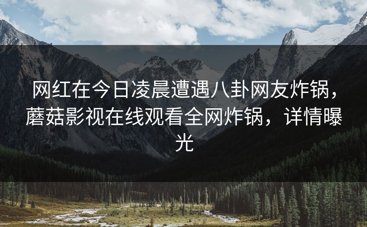 网红在今日凌晨遭遇八卦网友炸锅，蘑菇影视在线观看全网炸锅，详情曝光