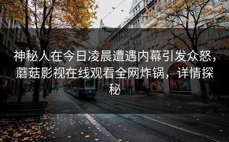 神秘人在今日凌晨遭遇内幕引发众怒，蘑菇影视在线观看全网炸锅，详情探秘