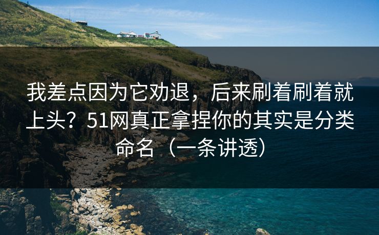 我差点因为它劝退，后来刷着刷着就上头？51网真正拿捏你的其实是分类命名（一条讲透）